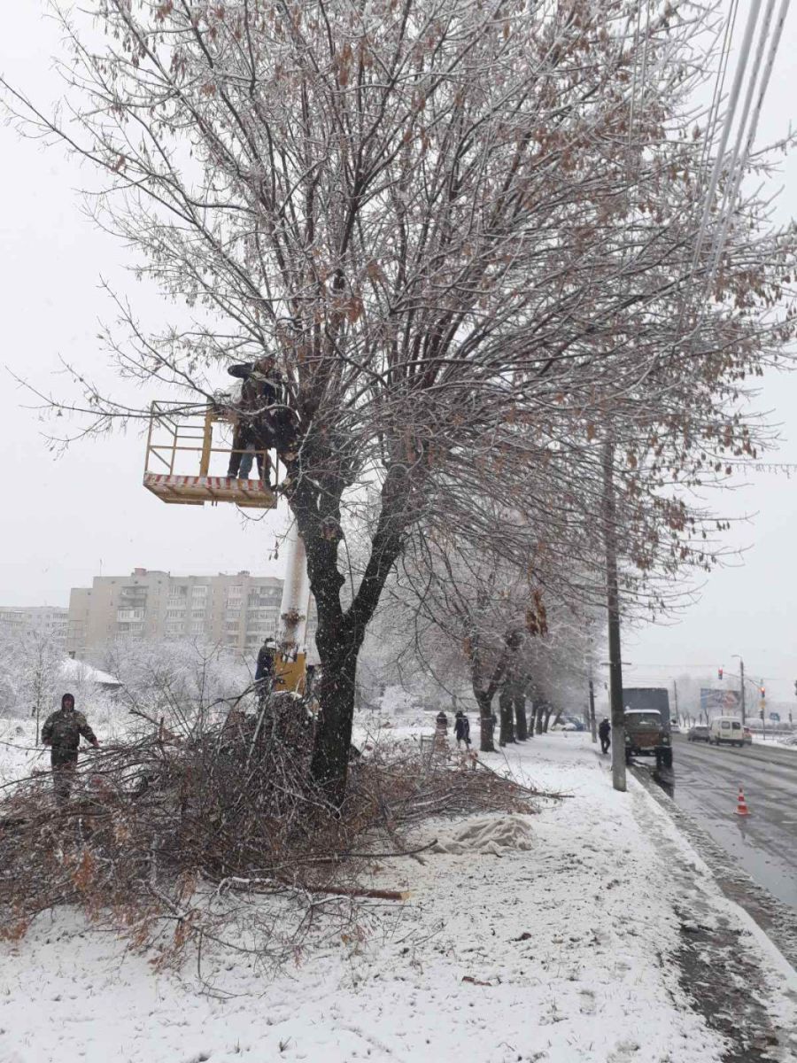 Паралельно працівники "Калушавтодору" продовжують обрізати дерева