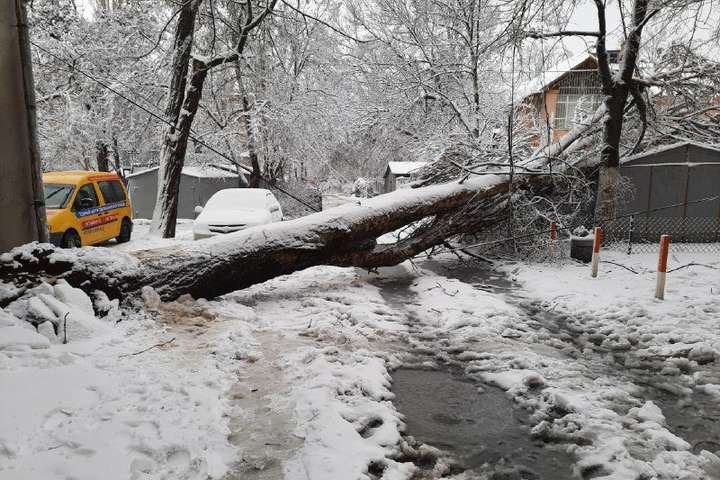 Ілюстроване фото. Найближчим часом вуличне освітлення у парку планують відновити