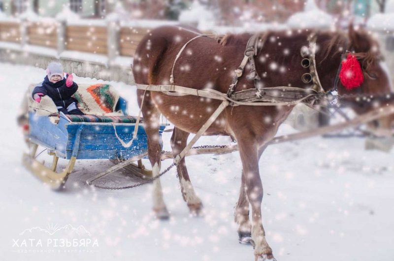 Ціна санів може доходити до 10 тисяч гривень.