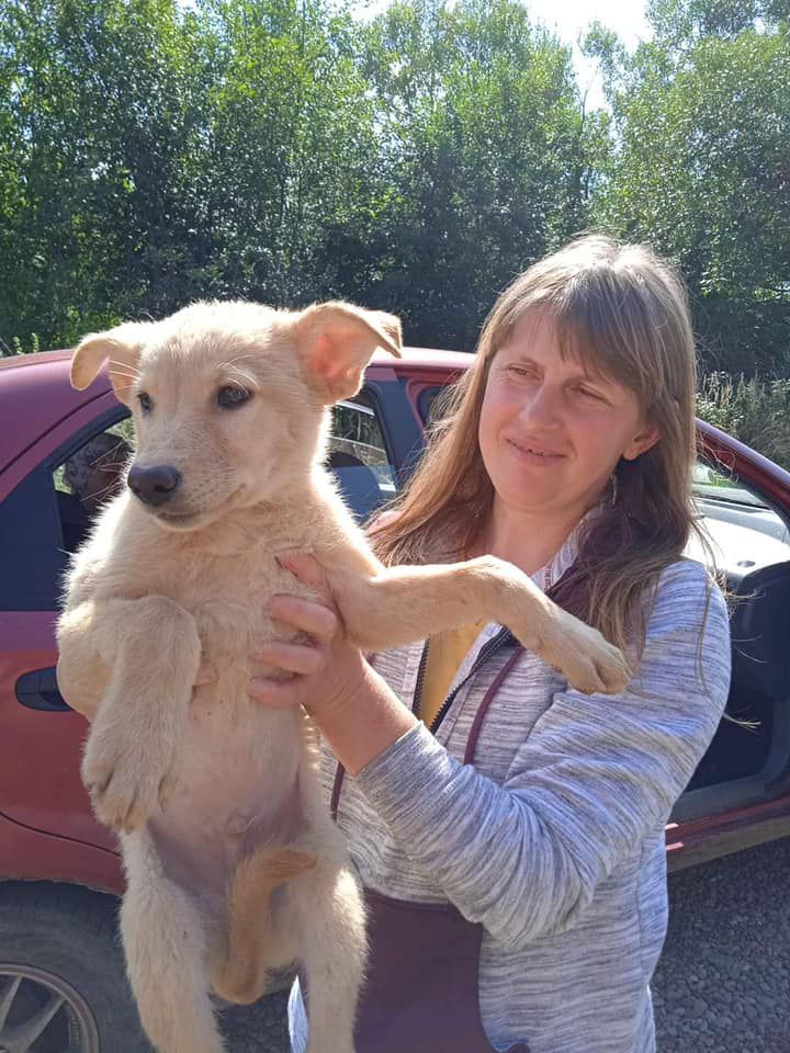 Притулок дякує жителям Калуської громади, які вирішили подбати про безпритульних тварин