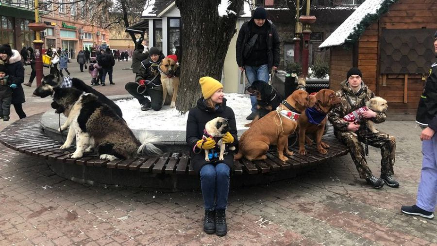 У параді взяло участь 40 собак.