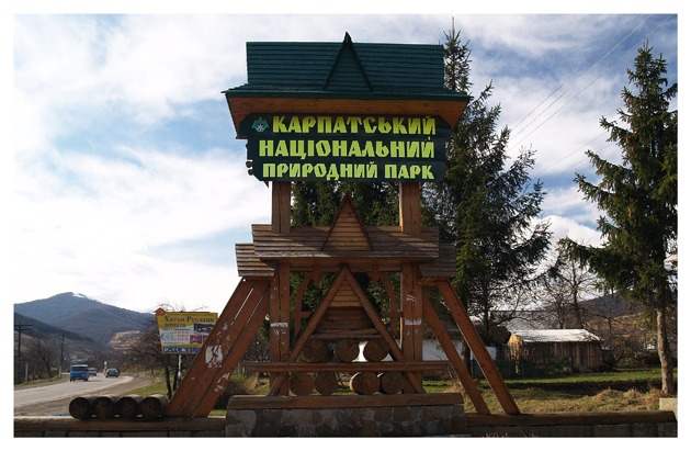 Природа в парку просто неймовірна.