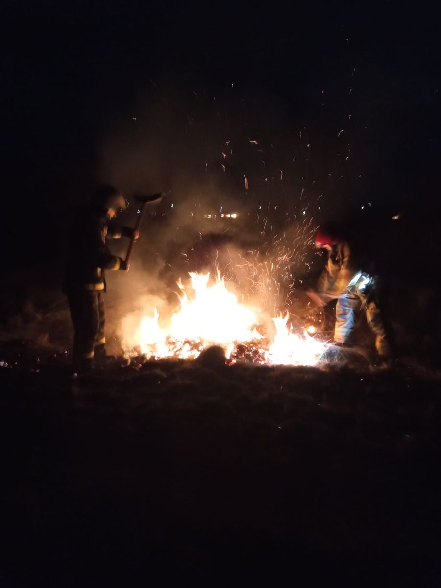 Вогнеборцям вдалося вберегти цвинтар від вогню. Фото: Тарас Кушлик/Facebook