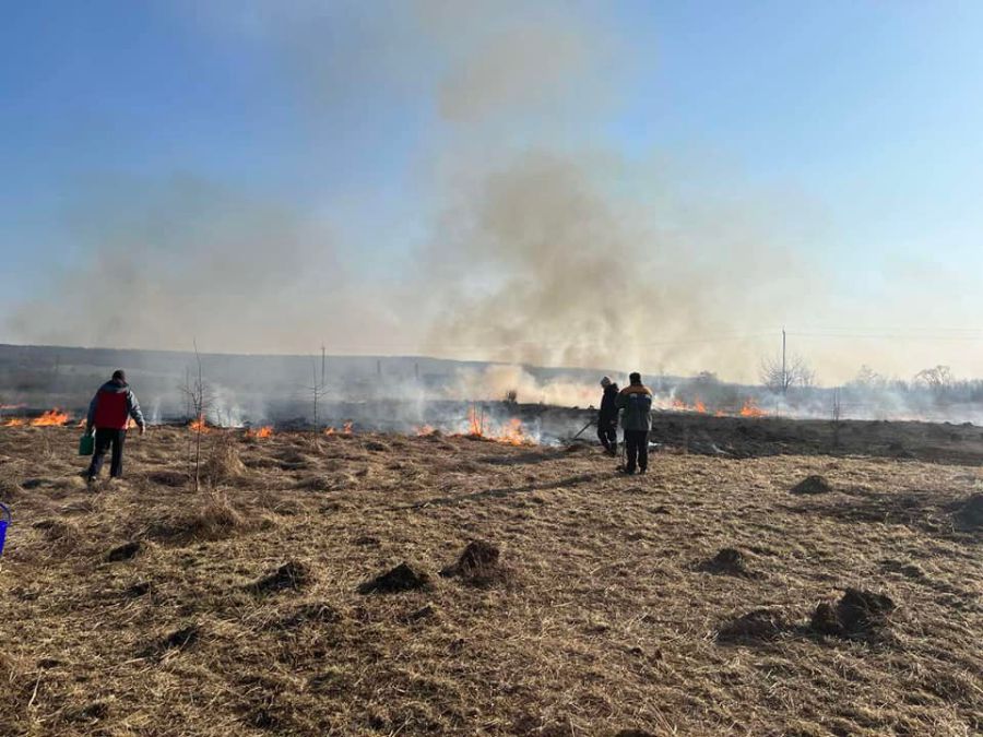 За фактами підпалу сухої трави було складено два протоколи