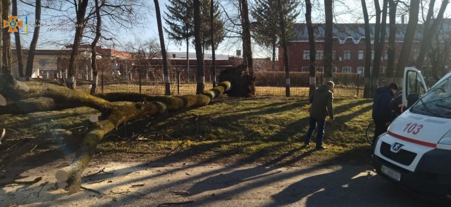 Рятувальники передали потерпілого медикам.