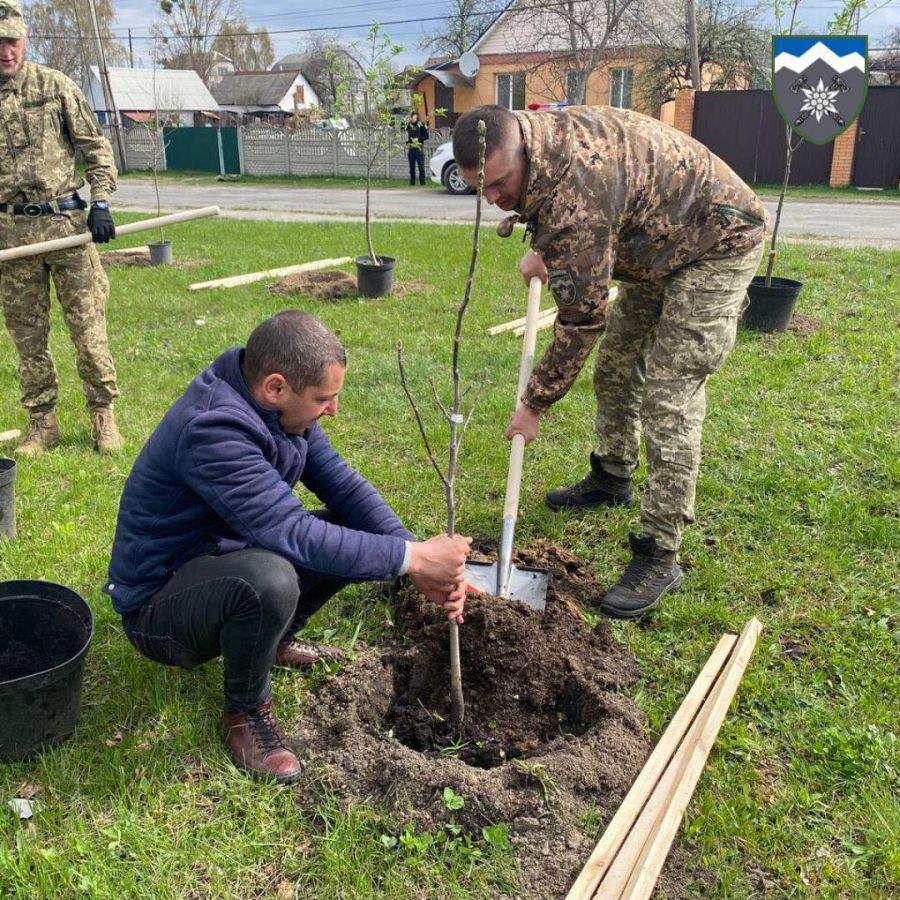 Дерева були висаджені біля місцевої лікарні.