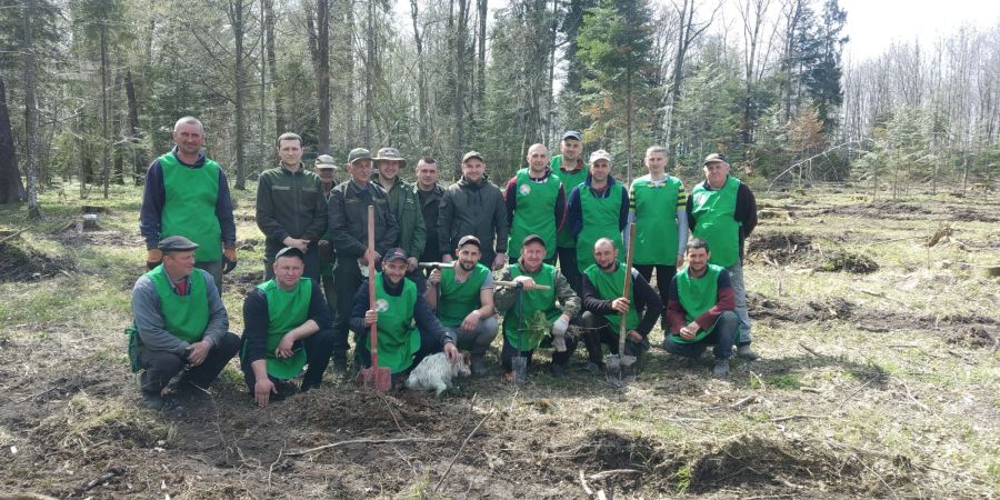Загалом було висаджено більше 4 тисяч саджанців дуба та ялиці.