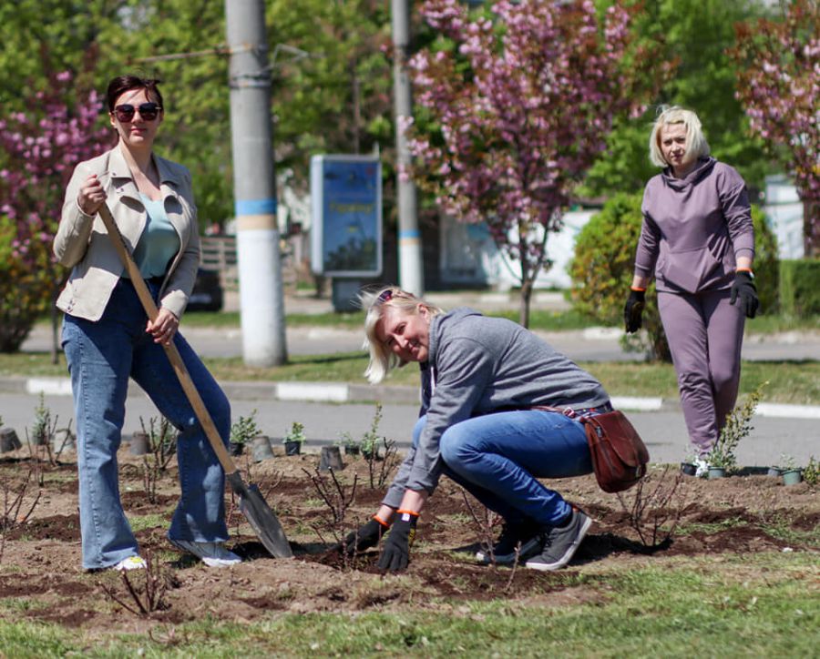 Саджанці з Донеччини передали на знак солідарності. Фото: Андрій Найда/Facebook