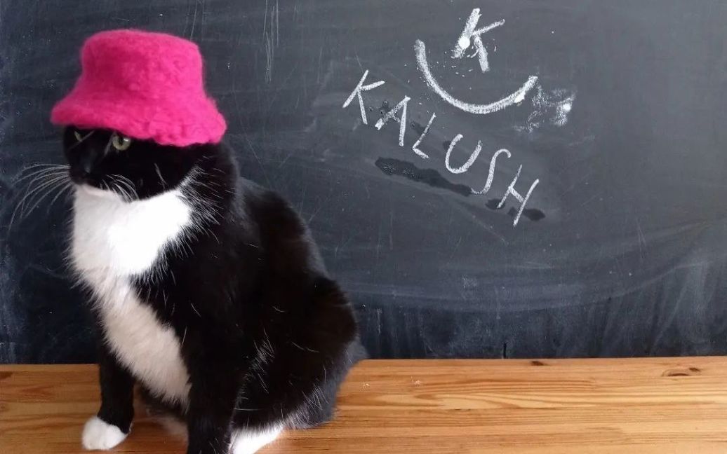 Кіт Бандера підтримав гурт Kalush Orchestra