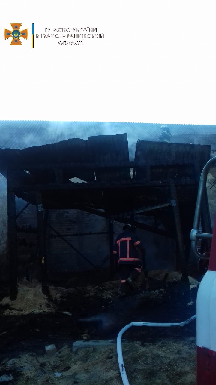 Вогнеборці на місці виявили загорання тирси