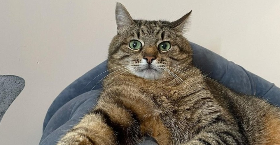 Церемонія нагородження відбулась 18-го травня.