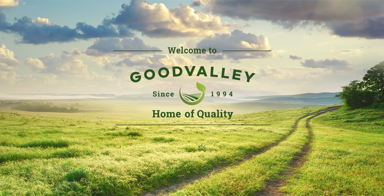 Більшу частину грантових коштів села громади торік залучили від  "Ґудвеллі Україна" завдяки участі у конкурсі "Село мрії