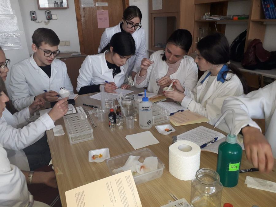 На учнів чекає багато цікавої інформації.