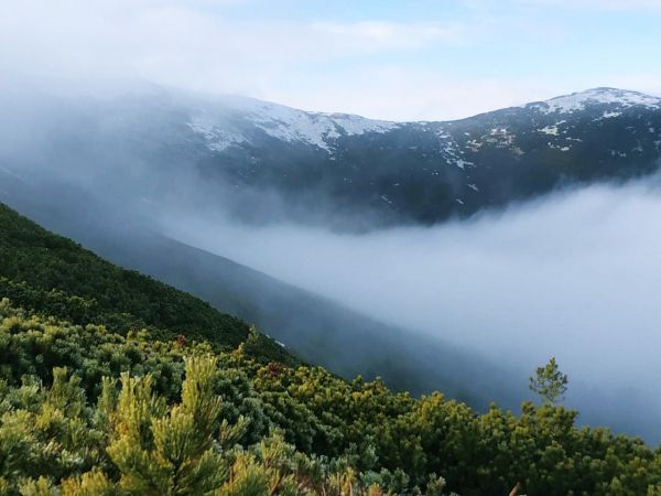 Саме тут пролягає частина Східно-Карпатського Туристичного Шляху
