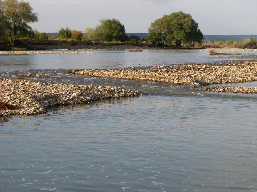 Фахівці Калуського міськрайонного відділу досліджували проби води з річки Лімниці у Вістові та з озера у міському парку