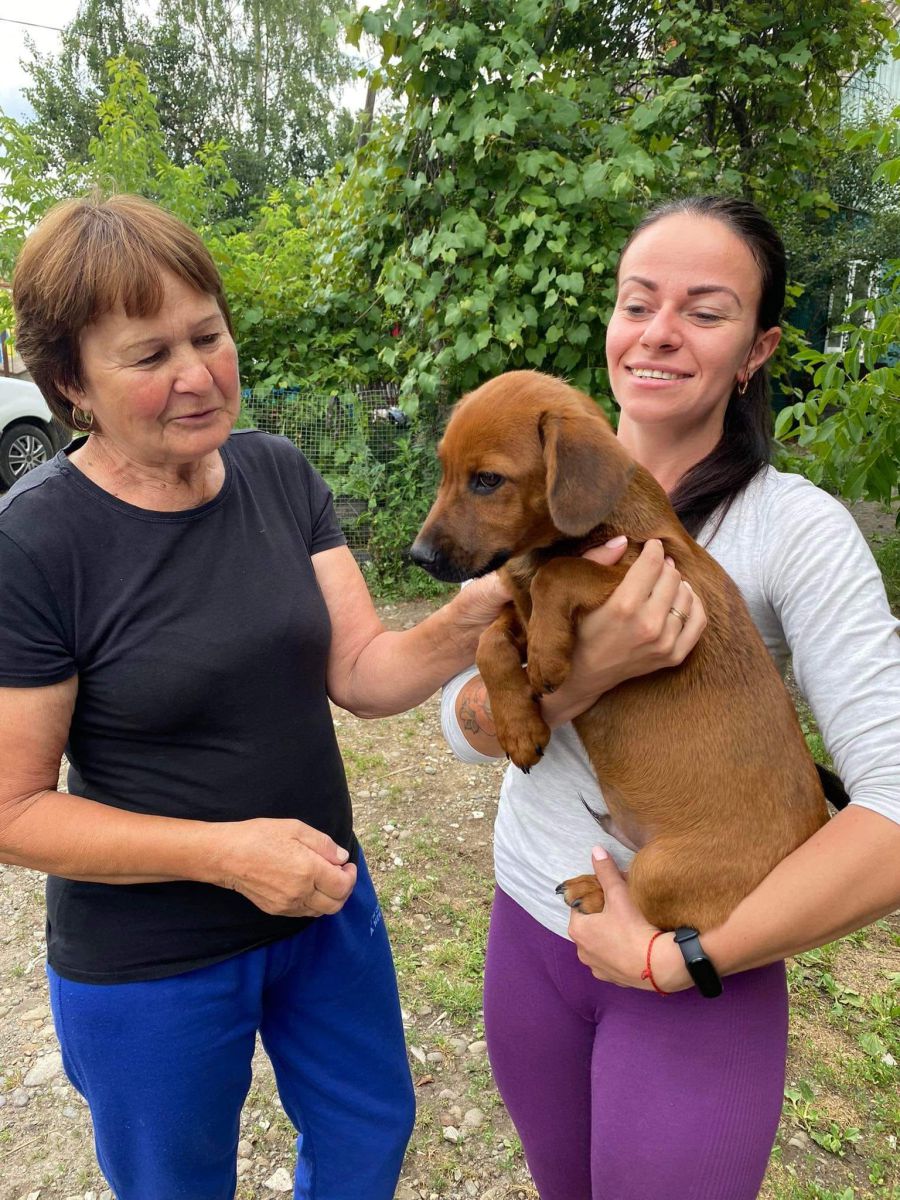 Притулок розташований на вулиці Чорновола, 72