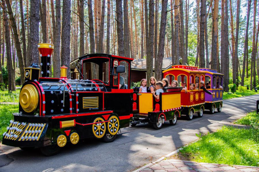 Ілюстроване фото. Підприємець хоче пустити у центрі міста дитячий потяг