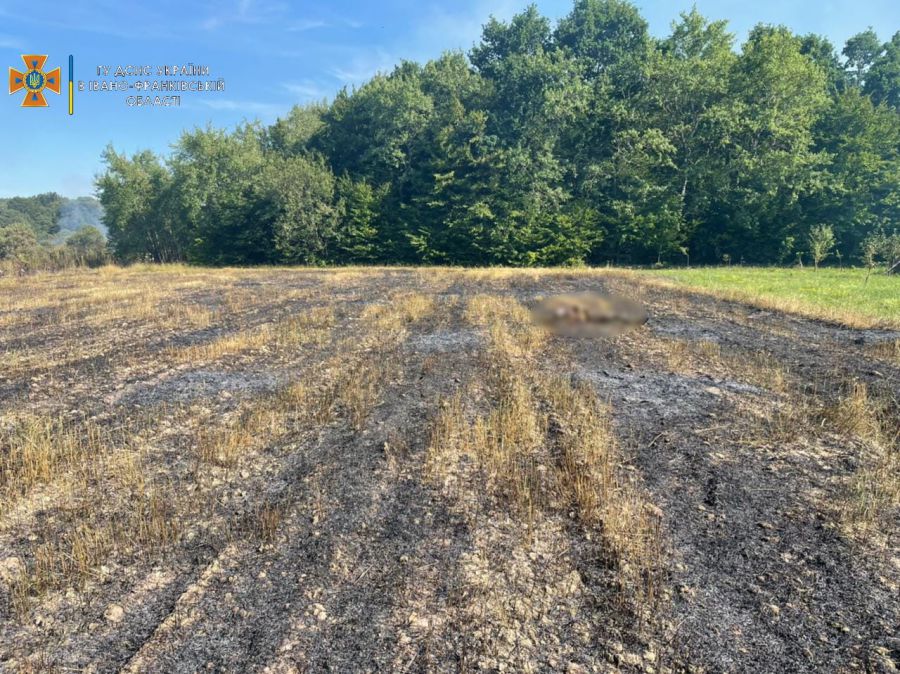 Вогнеборцям довелося гасити пожежу на площі 2,5 гектара