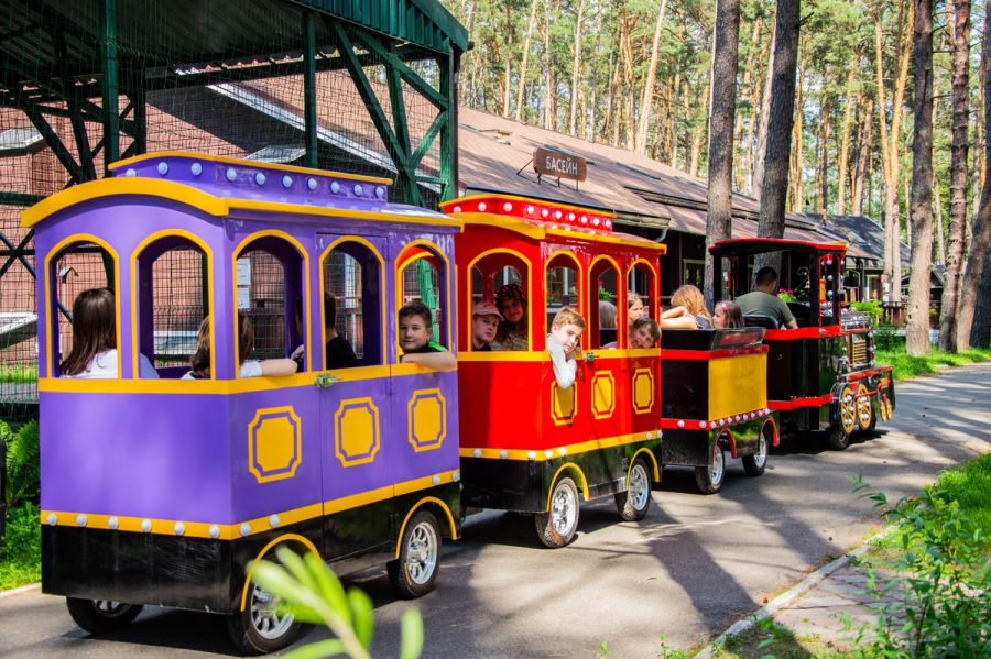 Ілюстроване фото. Базова ставка для надання дитячих розважальних послуг на "Дитячому потягу" становить 2000 гривень