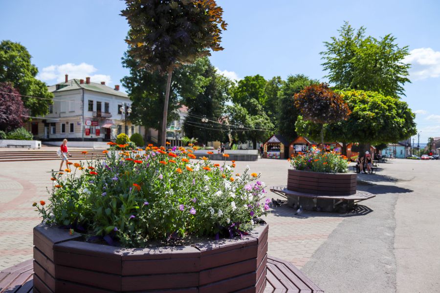 Злодії щотижня викрадають навіть чорнобривці