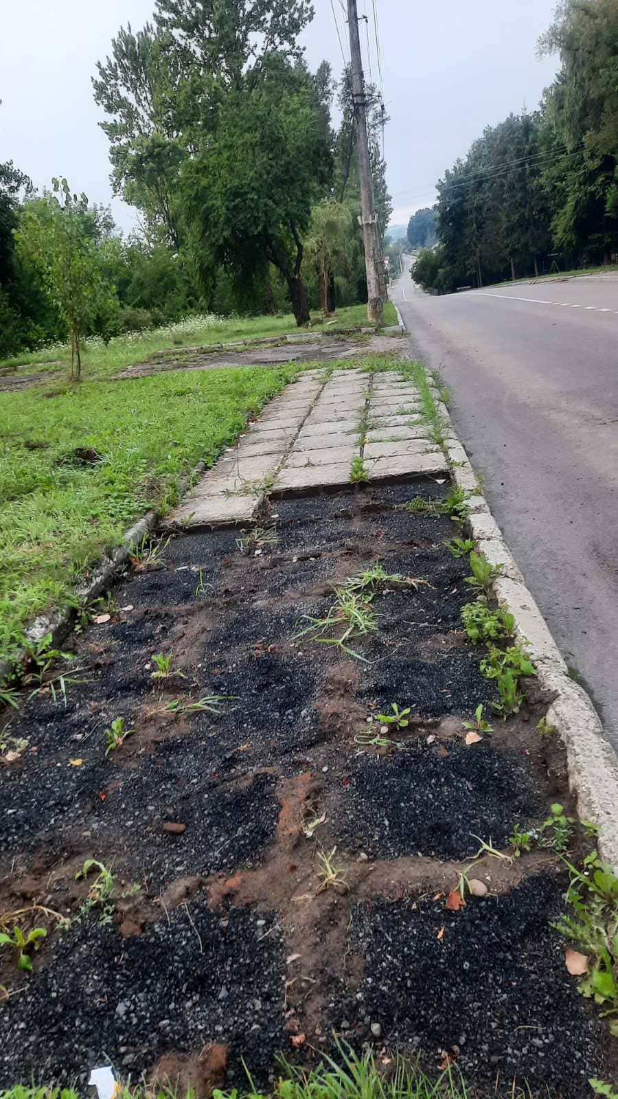 Злодії орудували вночі навпроти Пагорба Слави