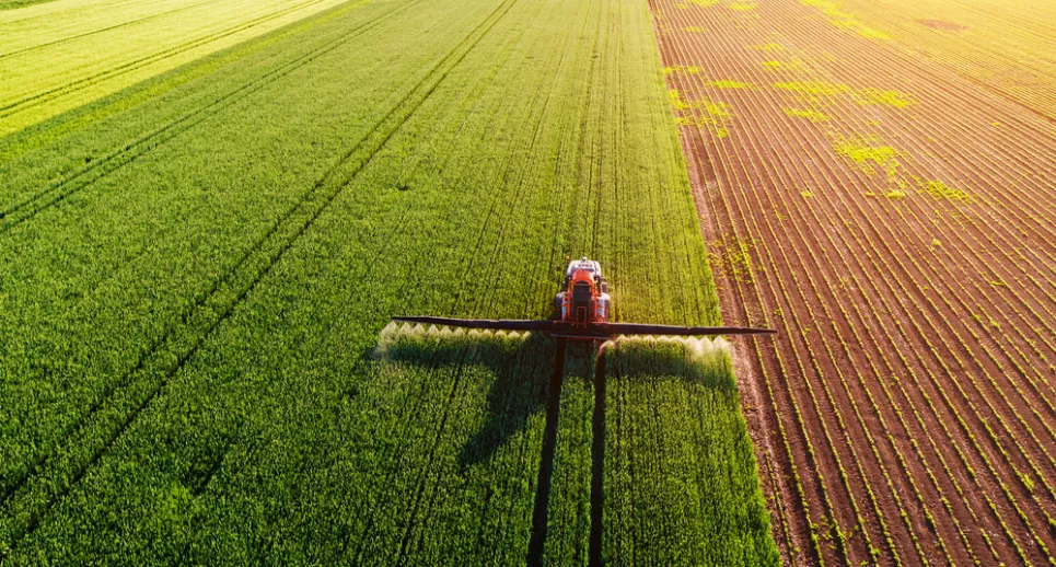 Калуська міська рада надала дозвіл на виготовлення документації на 43 земельні ділянки.