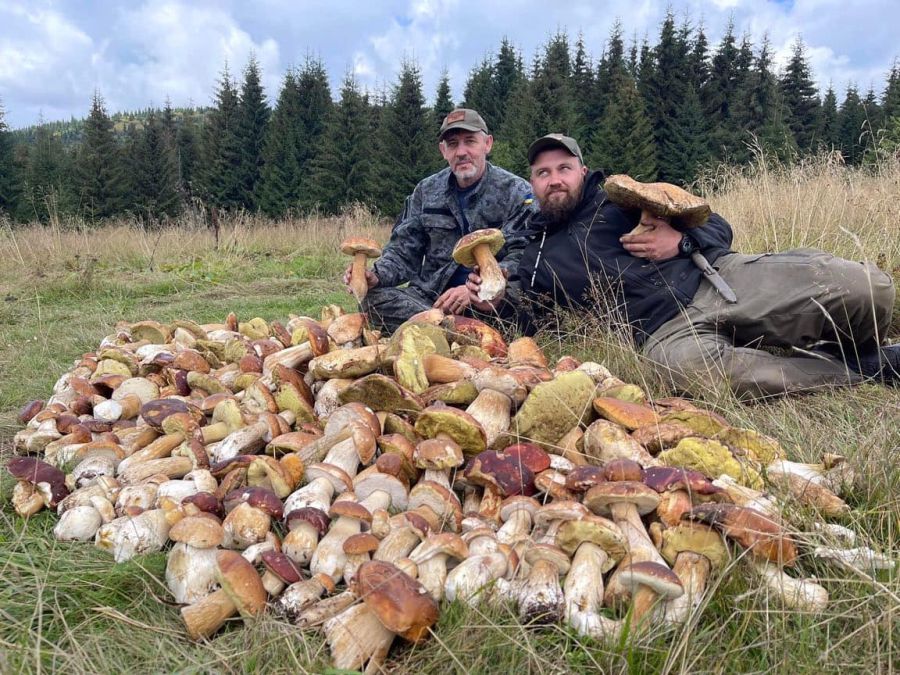 Наразі волонтерам з благодійного фонду "Мураха" вдалося зібрати близько 70 кг грибів