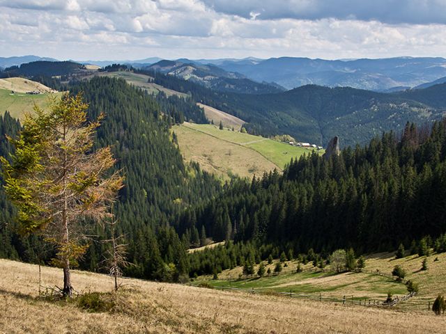 Ілюстроване фото. На в'їздах до парку будуть встановленні шлагбауми.