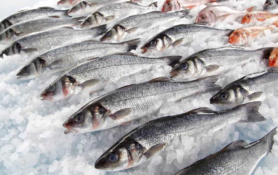 Ілюстроване фото. Деякі рибні продукти мають відповідати певним критеріям.