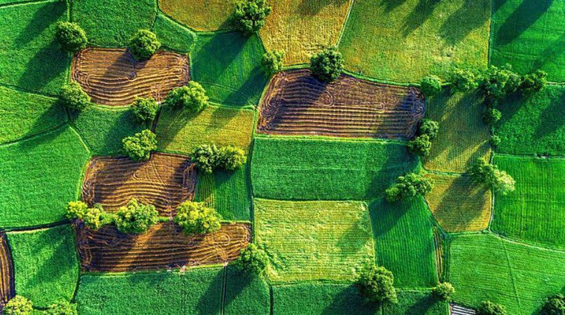 Ілюстроване фото. З квітня Калуська міська рада надала дозвіл на виготовлення документації на 49 земельних ділянок