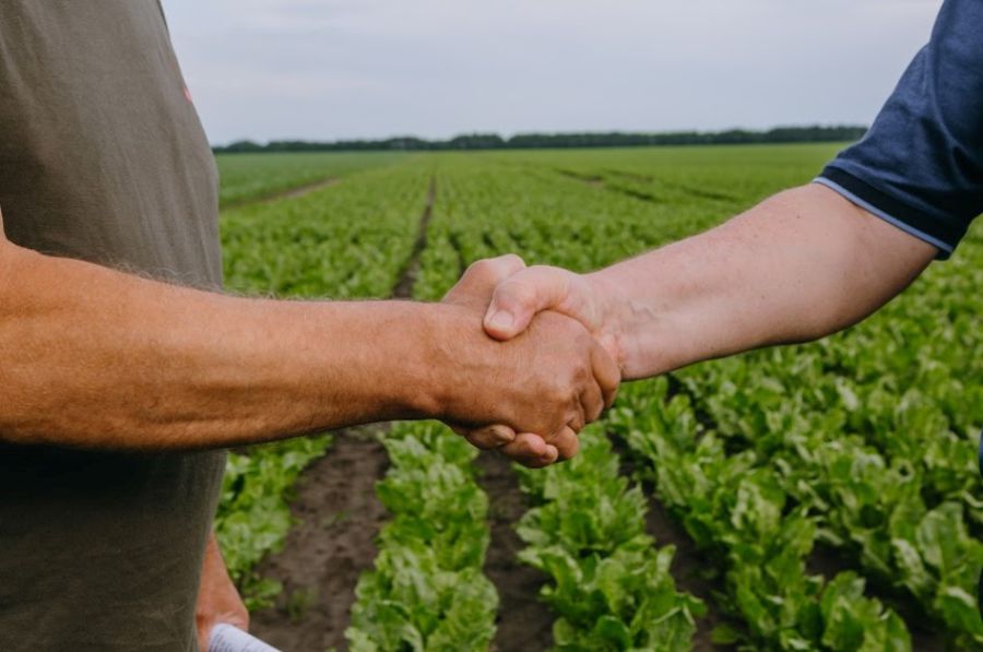 Ілюстроване фото. З 14 квітня Калуська міська рада надала дозвіл на документацію для 51 земельної ділянки