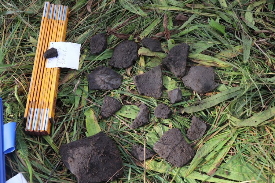 Біля Галича могло бути одне з найдавніших поселень землеробів на наших теренах кінця 6 тис. до н. е.