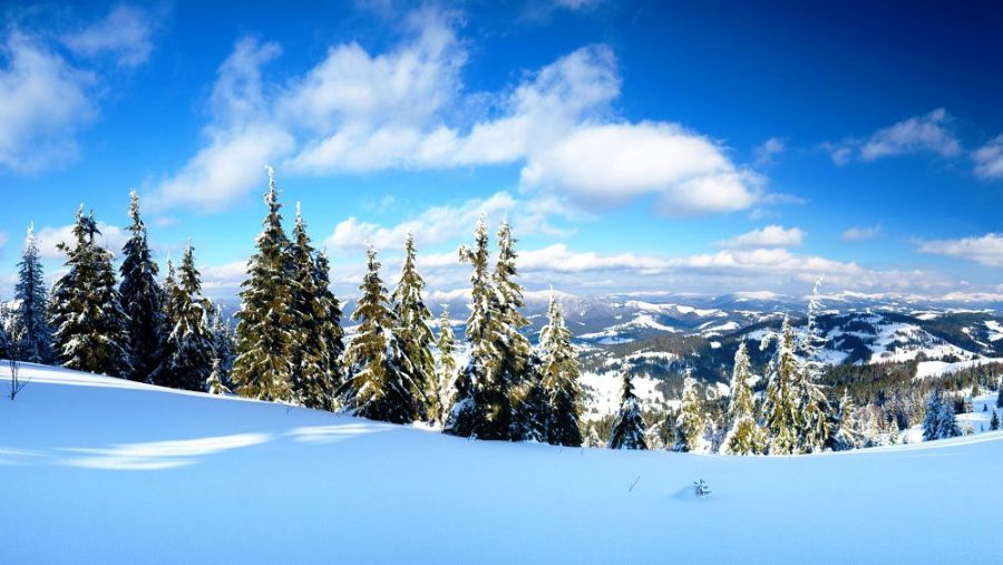 Прикарпаття на 4 місці в рейтингу зі сплати єдиного податку.