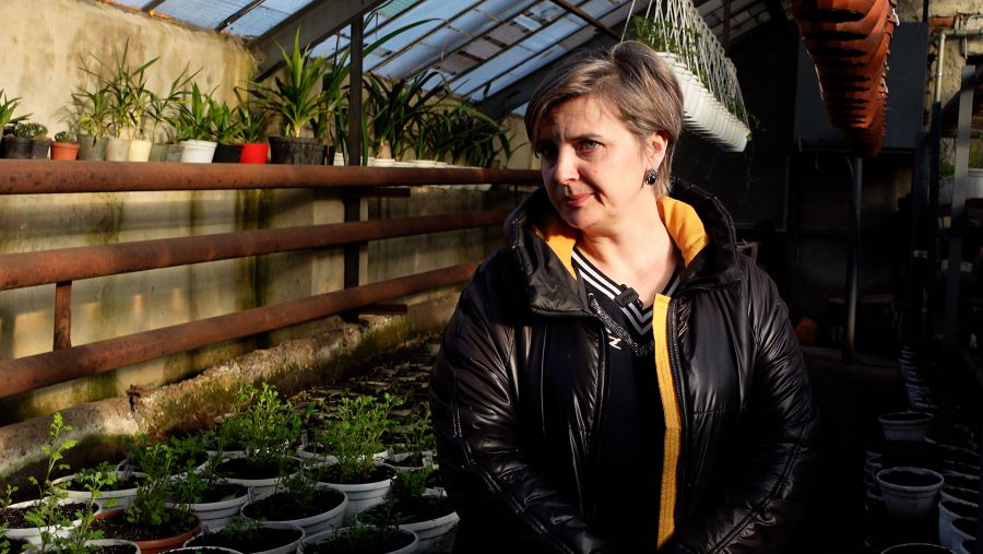 У 2022 році комунальне підприємство висадило в Калуші близько 50 000 штук квіткової розсади