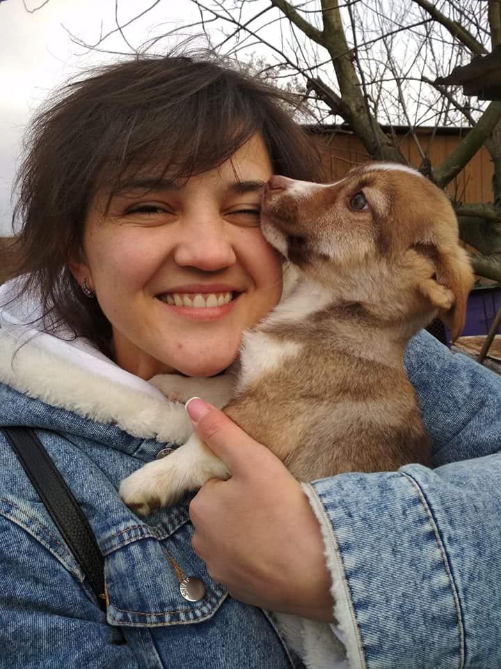 Ілюстроване фото. ГО «Дім Сірка м. Калуш» визнали переможцем закупівлі