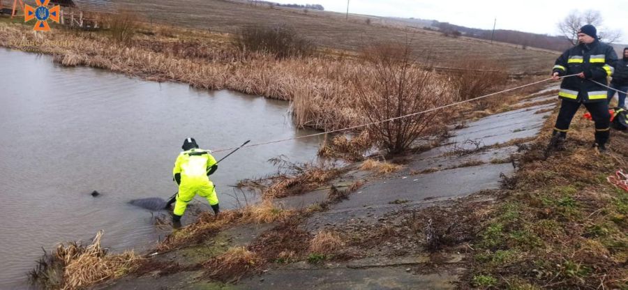 Тіла були виявлені без ознак життя.