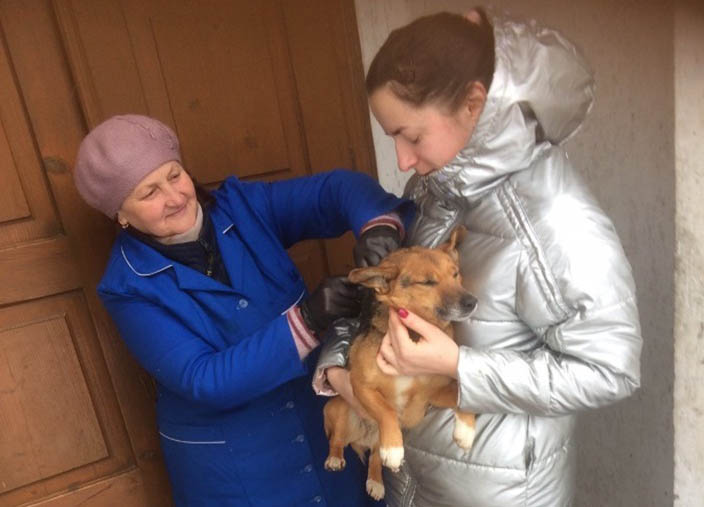 Вакцинацію проводять через виявлений сказ у собаки з Довгого Войнилова