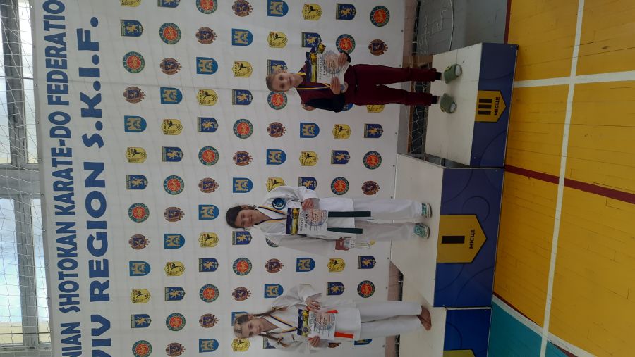 В турнірі взяли участь спортсмени з Києва, Харкова, Львова, Житомира.