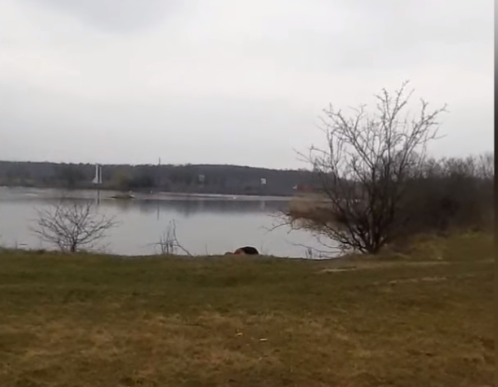 На озері тепер буде комфортніше.