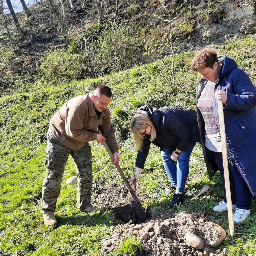Саджанці формують алею з 27 дерев, які символізують кількість областей України