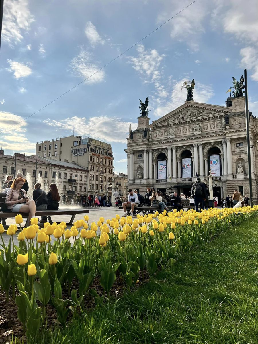 У парках, скверах та на вулицях вже розцвіли квіти, які місту подарувало Королівство Нідерландів.