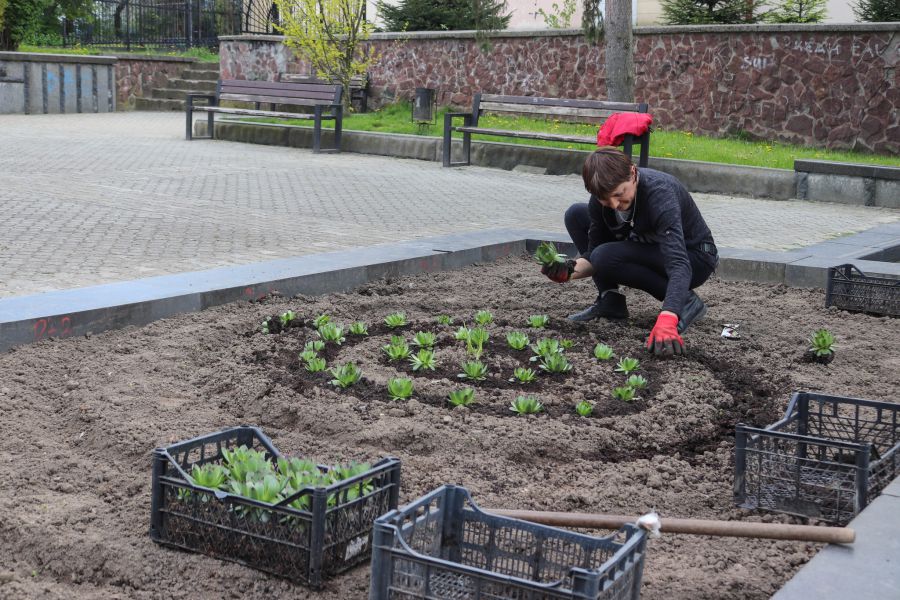 Робота над квітковою картою України тільки розпочалася