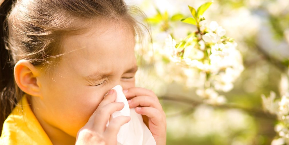 Ілюстративне фото. Найчастіше загострення полінозів трапляється в період – з березня до жовтня.