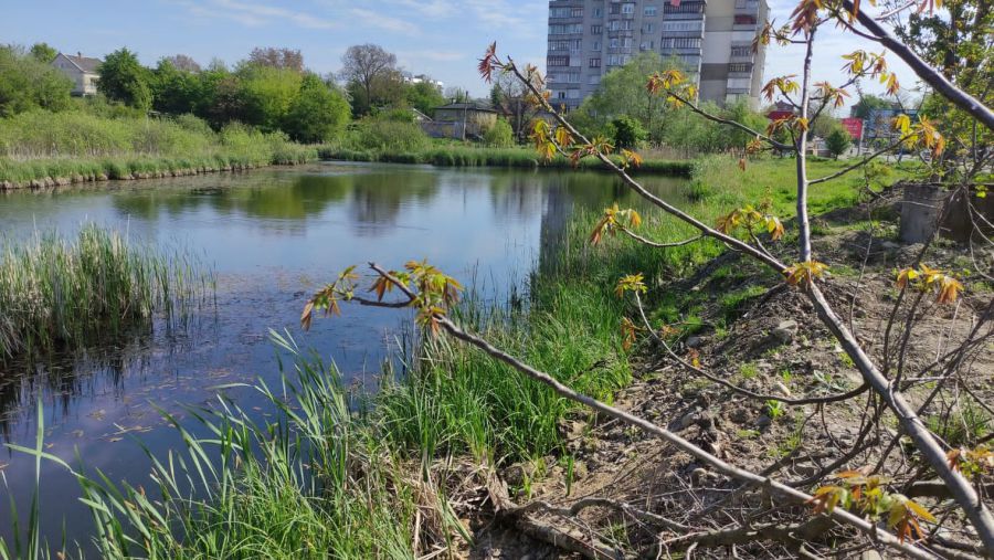Раніше, повідомляє громадська організація, на водоймі не проводили жодних досліджень