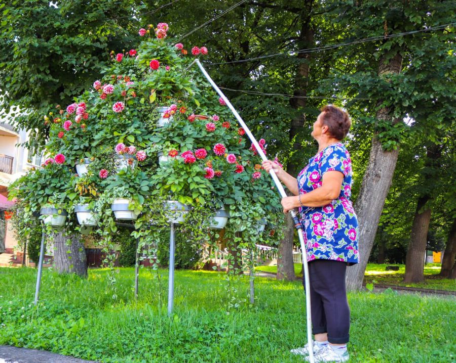 Планують також розмістити вазони і на парапетах.