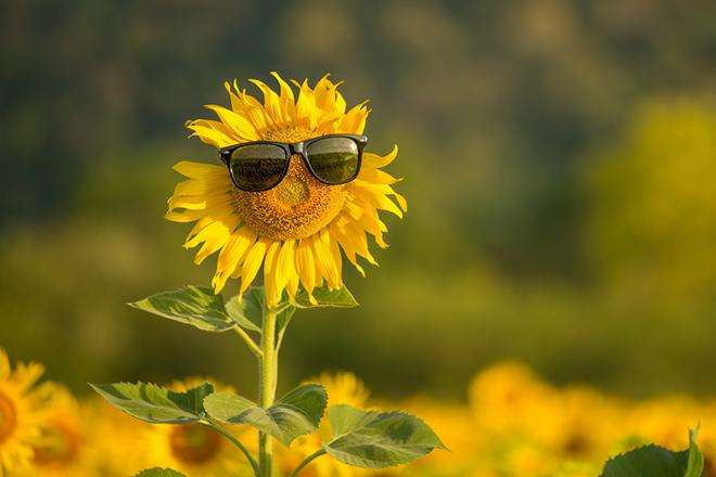 Ілюстративне фото. Більшу частину доби 29 серпня в Україні буде сухо й ясно