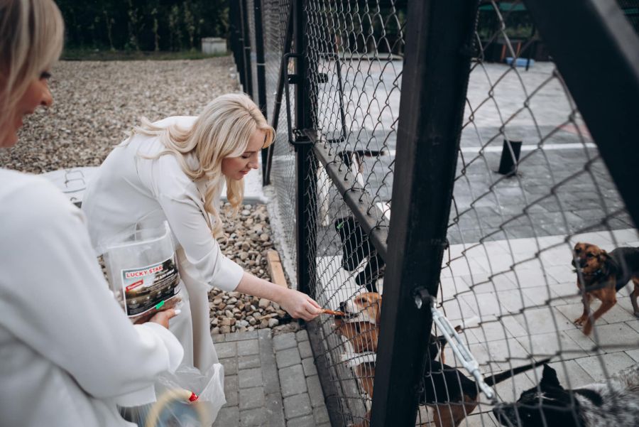 У центрі створено комфортні умови для тварин