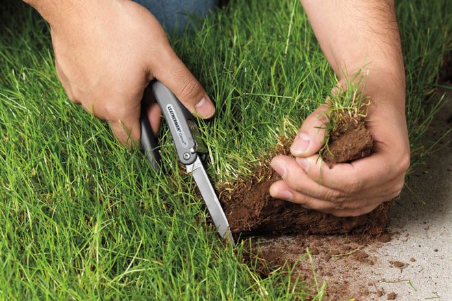 Ілюстроване фото. Державі було завдано збитків на суму понад 5,2 млн гривень 