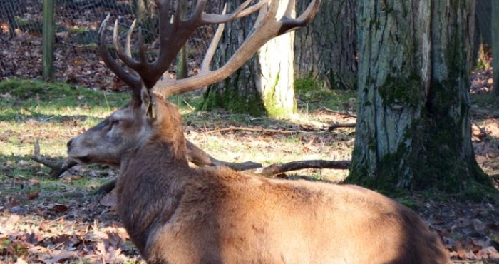 Ілюстроване фото. Туристів просять зберігати режим тиші