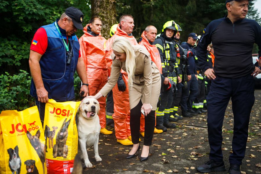 У кінологічному відділення ДСНС на Прикарпатті несе службу лабрадор
